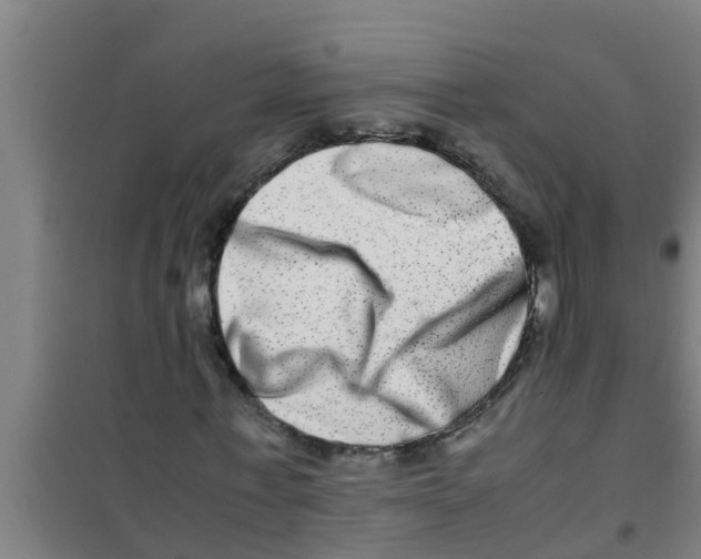 X0000100400771200807032013