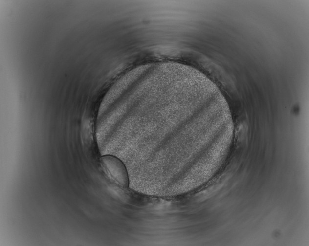 X0000100400772200807032013
