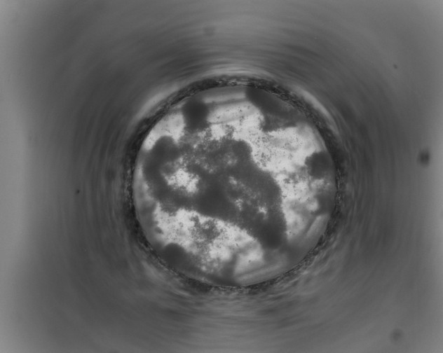 X0000100400775200807032013