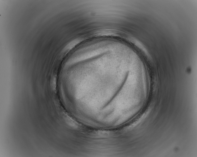 X0000100400777200807032013