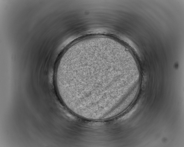 X0000100400778200807032013