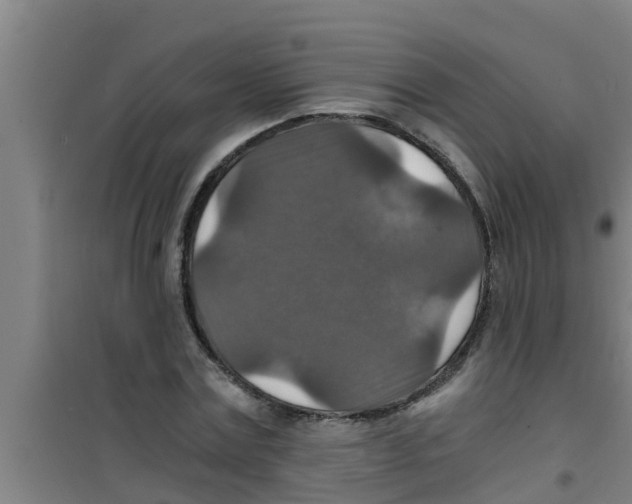 X0000100400779200807032013