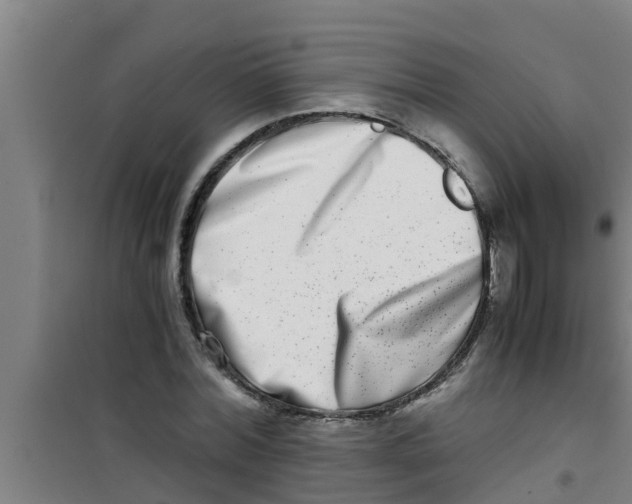 X0000100400780200807032013