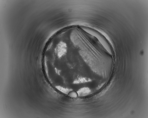 X0000100400783200807032013