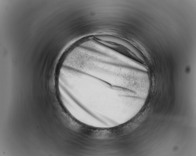 X0000100400784200807032012