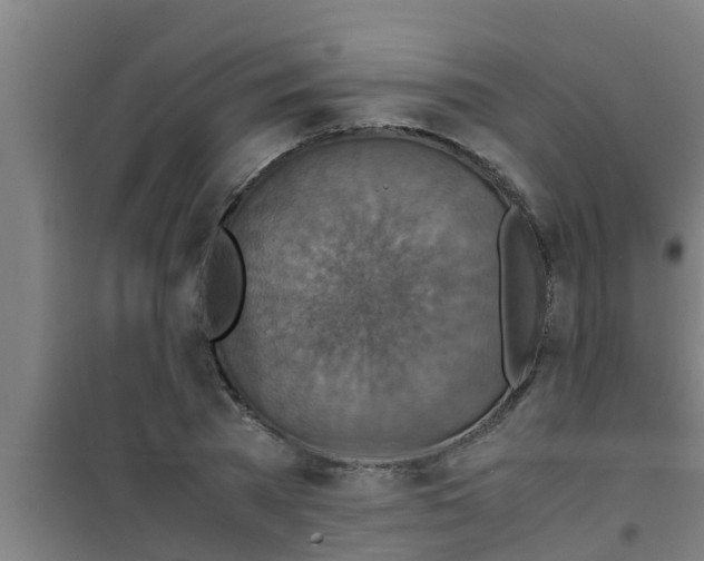 X0000100400785200807032012