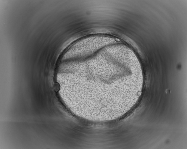 X0000100400786200807032012