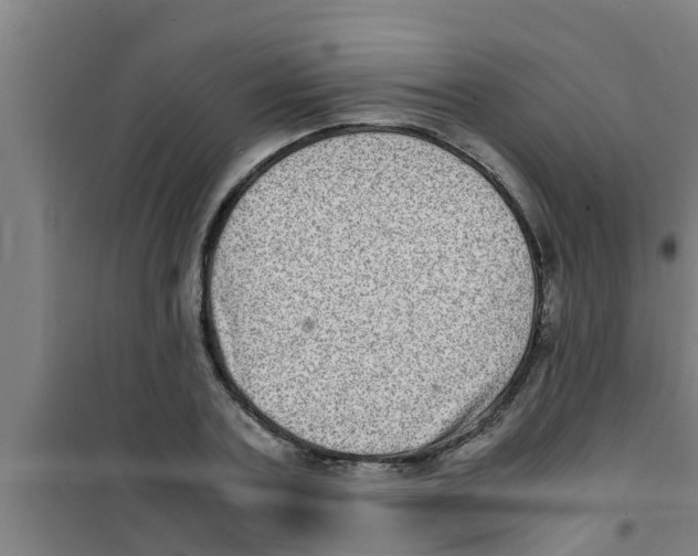 X0000100400787200807032012