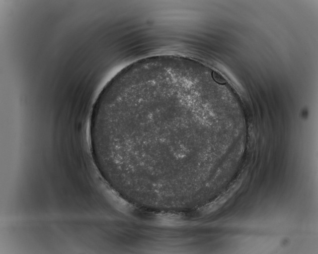 X0000100400788200807032012