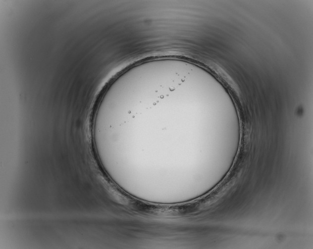 X0000100400789200807032012