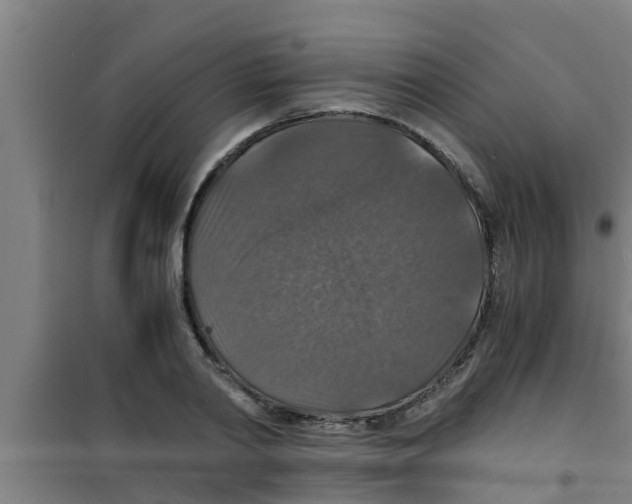 X0000100400790200807032012
