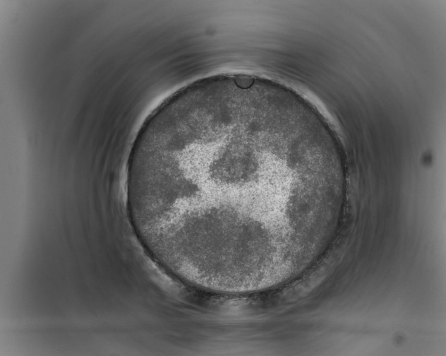 X0000100400791200807032012