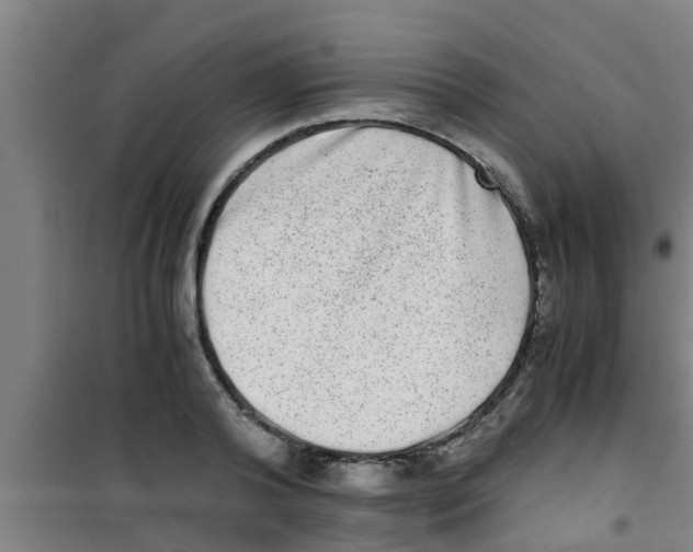 X0000100400792200807032012