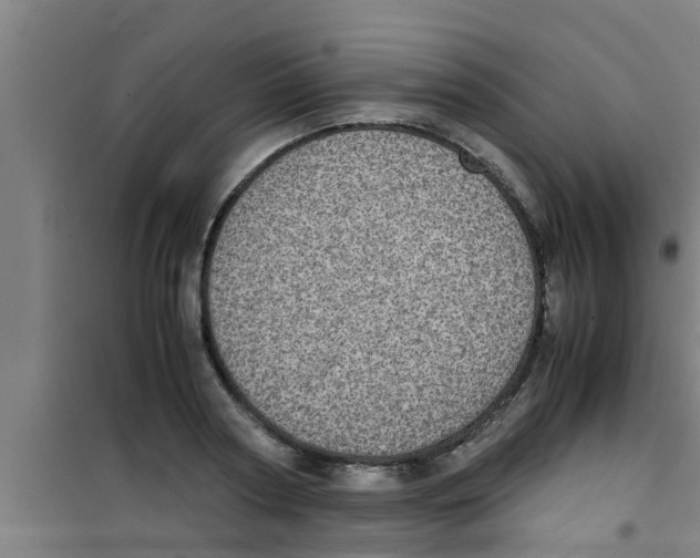 X0000100400794200807032012