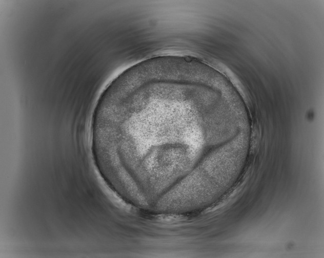 X0000100400795200807032012