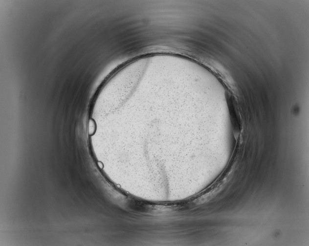 X0000100400796200807032012