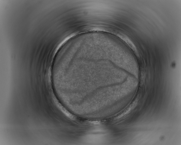 X0000100400798200807032012