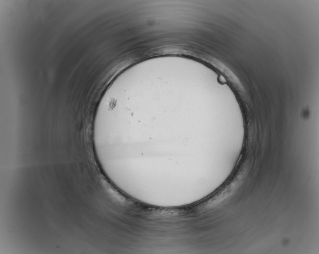 X0000100400801200807032012
