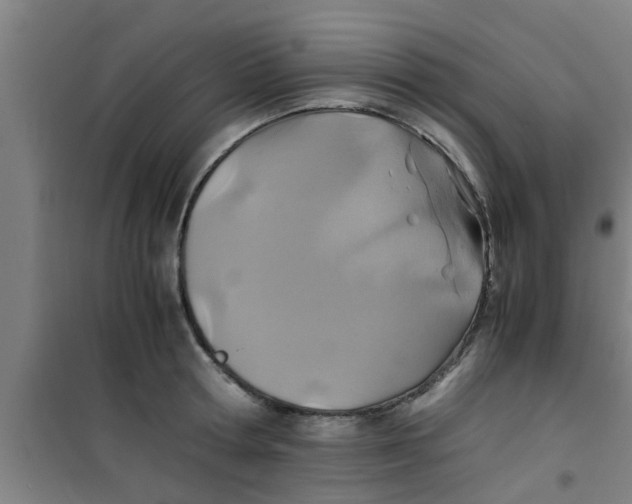 X0000100400802200807032012
