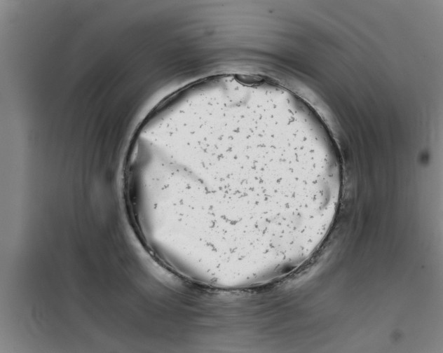 X0000100400803200807032012