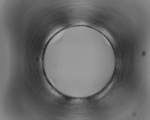 X0000100400806200807032012