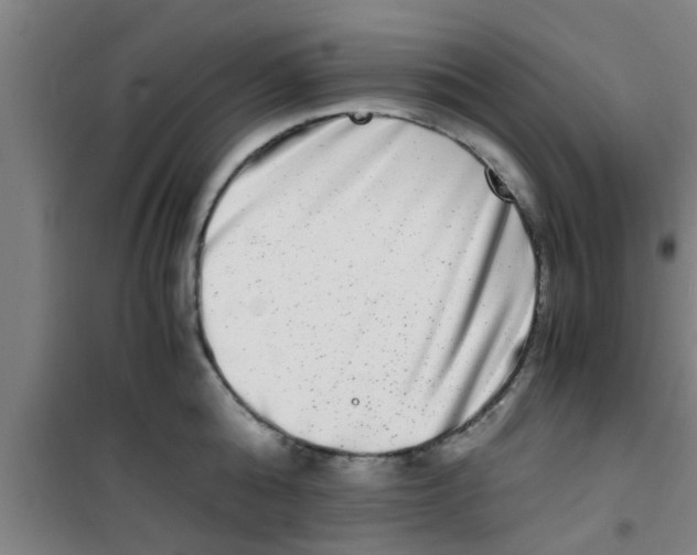 X0000100400808200807032012