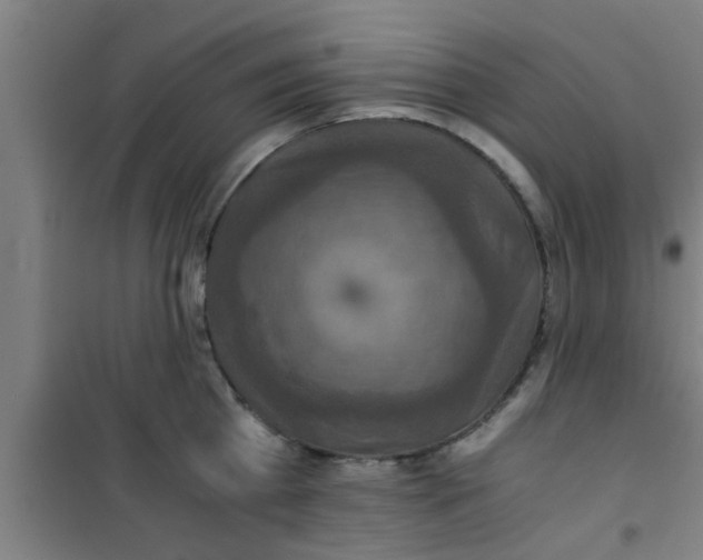 X0000100400809200807032012
