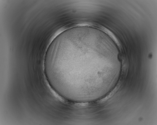 X0000100400810200807032012