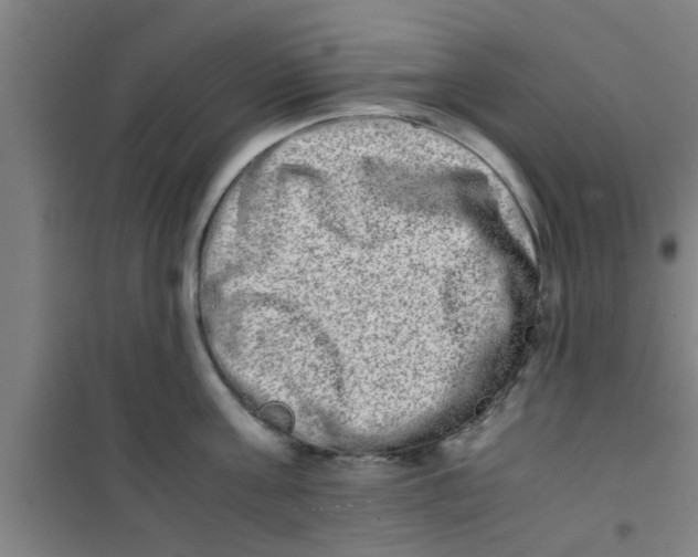 X0000100400811200807032012
