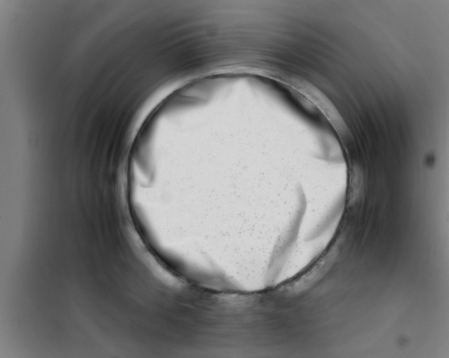 X0000100400812200807032012