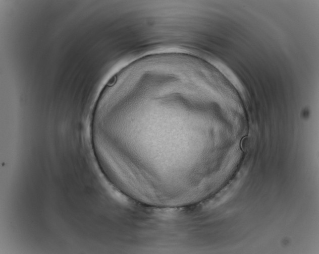 X0000100400813200807032012