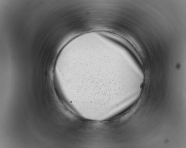 X0000100400814200807032012