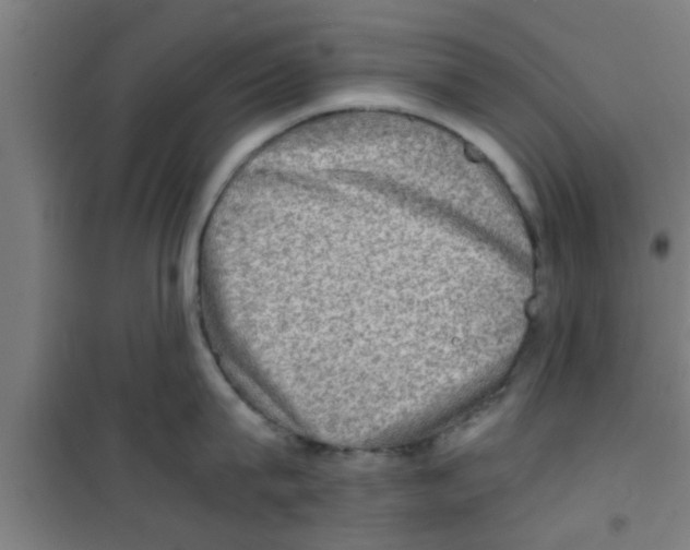 X0000100400815200807032012
