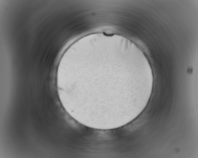 X0000100400816200807032012