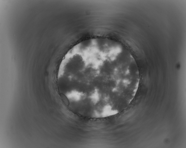 X0000100400817200807032011