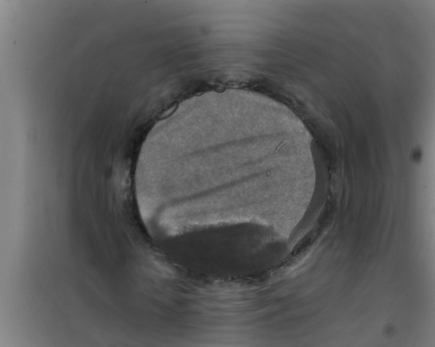 X0000100400818200807032011