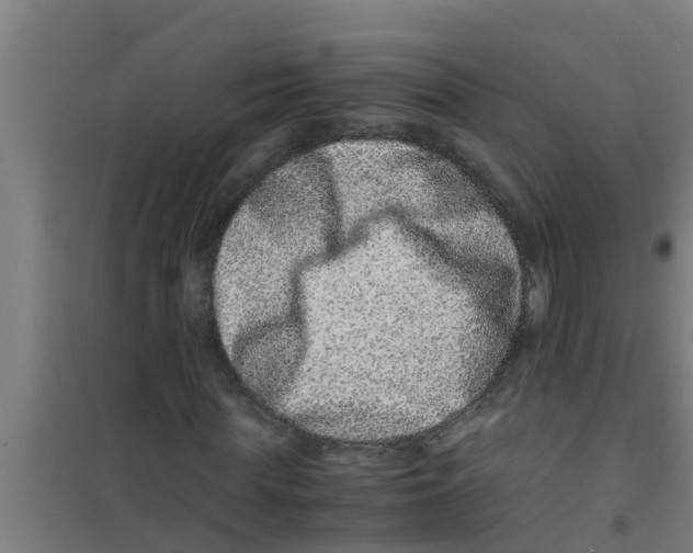 X0000100400819200807032011