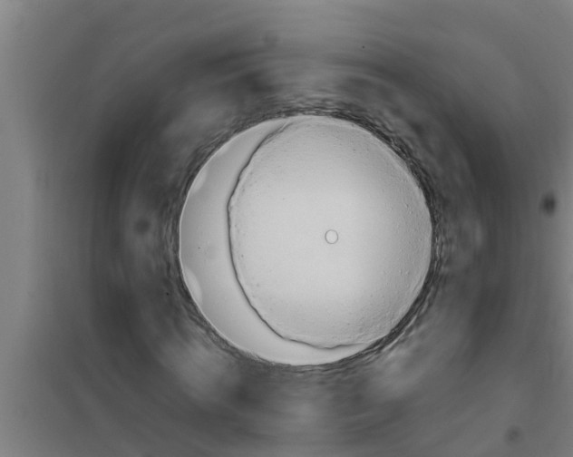 X0000100400820200807032011