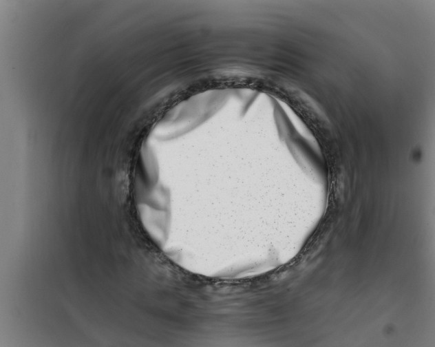 X0000100400821200807032011