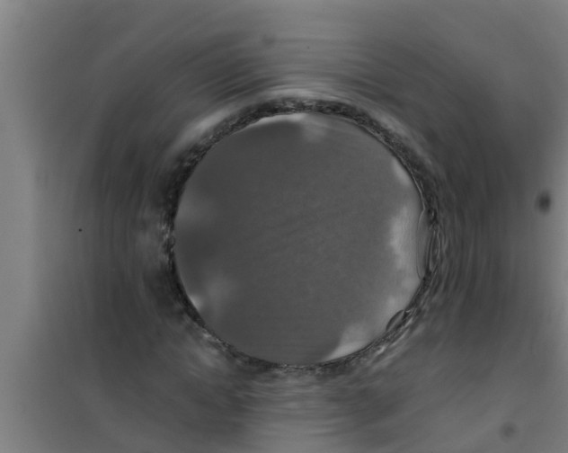 X0000100400822200807032011