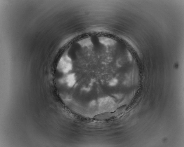 X0000100400823200807032011