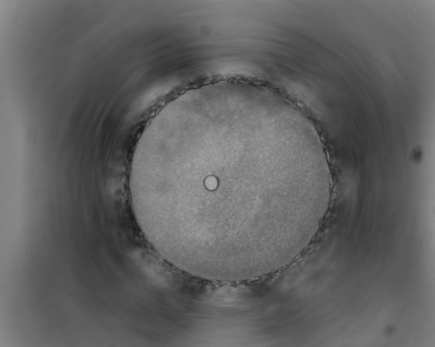 X0000100400824200807032011