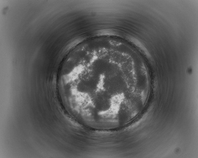 X0000100400825200807032011