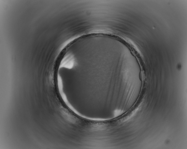 X0000100400830200807032011