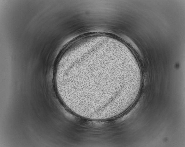 X0000100400831200807032011