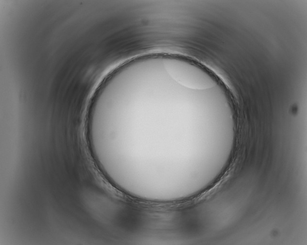 X0000100400832200807032011
