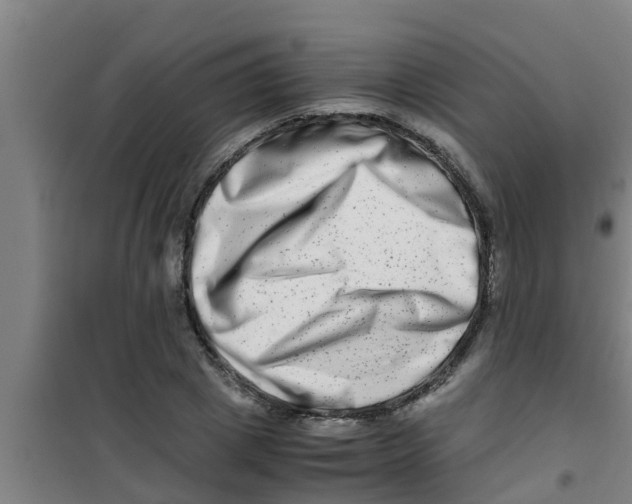 X0000100400833200807032011