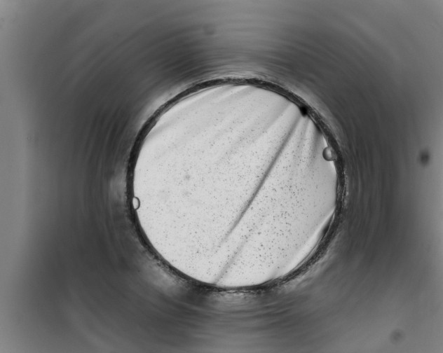 X0000100400834200807032011