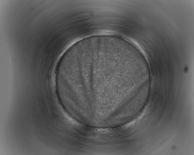 X0000100400835200807032011