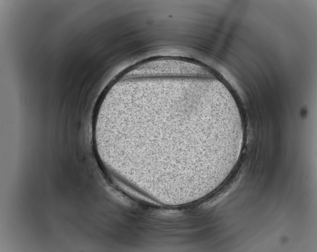 X0000100400837200807032011